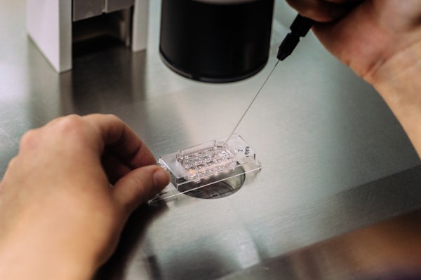 A biologist adds an unknown liquid to a petri dish using a long dropper.